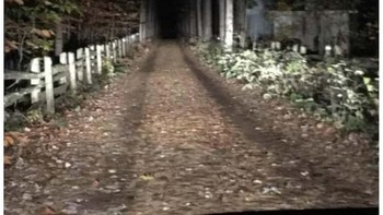 Apakah kalian melihat sesuatu di pinggir jalan? Foto: Reddit