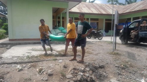 Disbunnak Flores Timur memberikan makanan ke ternak babi dan anjing milik warga yang terdampak erupsi Gunung Lewotobi Laki-laki, Sabtu (9/11/2024). (Dok. Disbunnak Flores Timur)