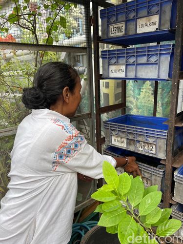 Inovasi Warga dalam Memilah Sampah Plastik