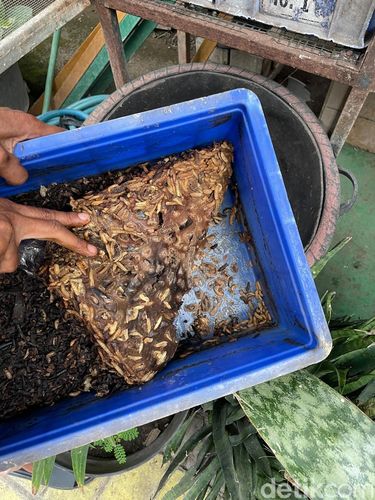 Inovasi Warga dalam Memilah Sampah Plastik