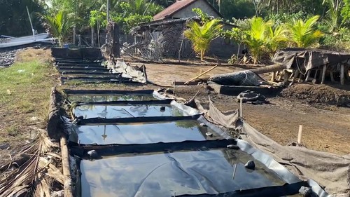 Pembuatan garam di Desa Tianyar, Kecamatan Kubu, Karangasem. (Ni Komang Nartini/detikBali)