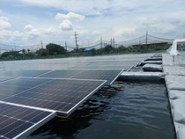 Begini Jurus PLN IP Capai Target Net Zero Emission