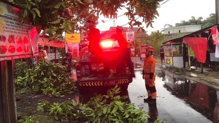 Pohon tumbang di Kota Bogor