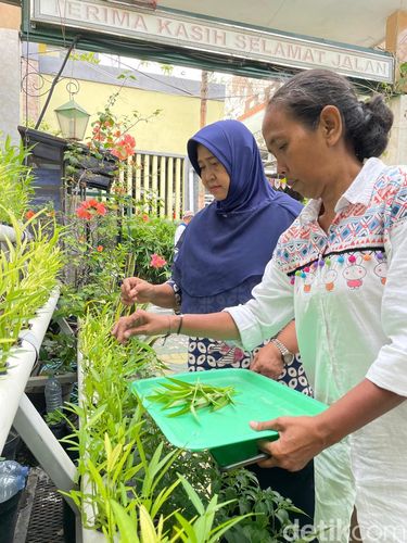 Ragam Tanaman di Oase Ondomahen