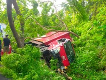Truk Tabrak Pohon-Terguling di Jalan Denpasar-Gilimanuk gegara Sopir Ngantuk
