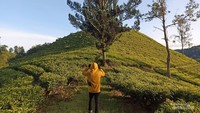 Lanskap di sekitar Bumi Perkemahan Rancacangkuang.