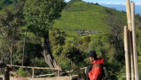 Pemandangan sunan ibu