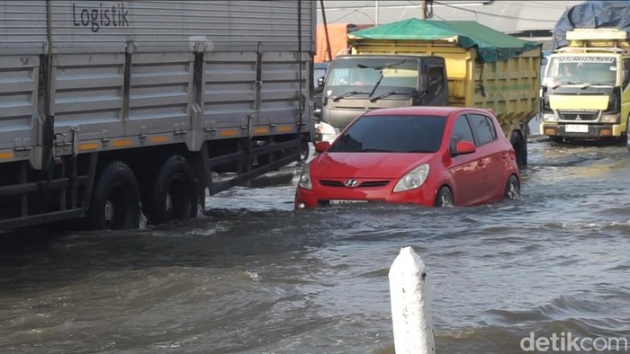 Banjir rob di Jalan Pantura wilayah Desa Sriwulan, Kecamatan Sayung, Demak, pagi ini sekitar pukul 08.00 WIB, Senin (11/11/2024).