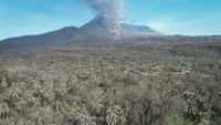 Berdasarkan data Badan Nasional Pencarian dan Pertolongan (Basarnas) hingga Senin (11/11) siang, pengungsi korban erupsi Gunung Lewotobi Laki-Laki di Flores Timur, Nusa Tenggara Timur (NTT), mencapai 12.200 dari sejumlah desa di zona bahaya radius sembilan kilometer dari pusat erupsi.