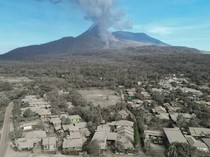 Debu Vulkanis Erupsi Lewotobi Selimuti Pemukiman dan Perkebunan