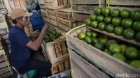 Sejumlah pedagang mensortir buah di Pasar Induk Kramat Jati, Jakarta, Rabu (8/5/2024).  