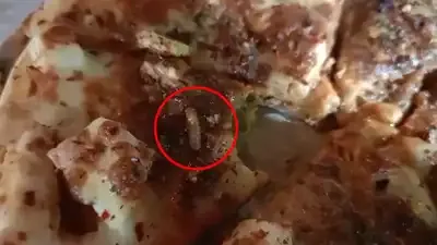 Jijik! Pria ini Temukan Banyak Belatung di Pizza yang Dimakannya