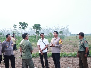 Dukung Asta Cita, Lahan 21 Hektare di Kediri Bakal Ditanami Jagung