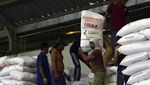 Menengok Distribusi Pupuk Subsidi di Bandar Lampung