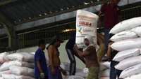 Pekerja mengangkut pupuk urea di gudang Lini 2 Campang Jaya, Sukabumi, Bandar Lampung, Lampung, Senin (11/11/2024). 