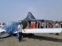 Video: Kondisi Pesawat Latih yang Mendarat Darurat di Pantai Cilacap