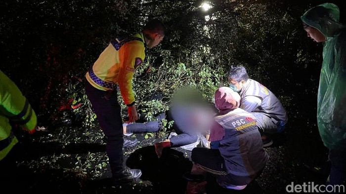 pemotor tewas tertimpa pohon trenggalek