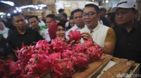 RK mengatakan program hunian itu sejalan dengan program pemerintah pusat yang akan menambah hunian untuk masyarakat.