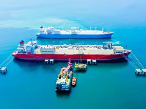 60,6 Juta Ton Biomassa Belum Terpakai, Bisa Jadi Harta Karun Energi RI