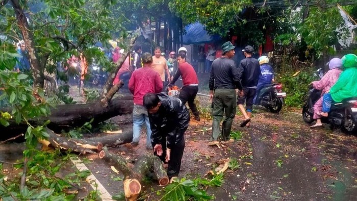 Pohon tumbang akibat hujan deras di Jalan Sawangan, Depok, Jawa Barat sore tadi. (dok istimewa).
