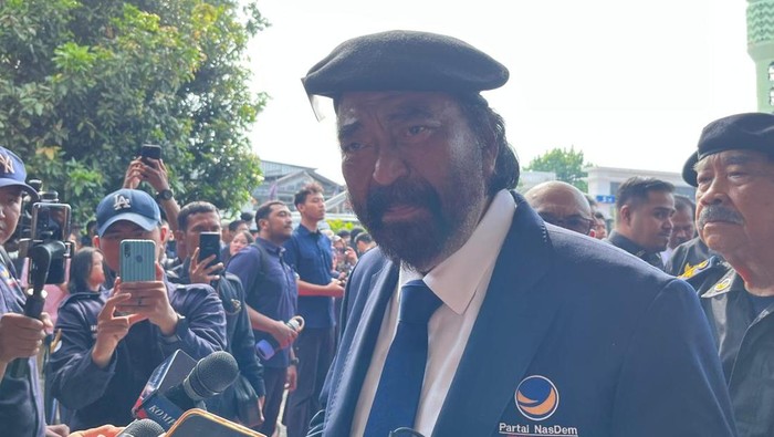 Surya Paloh (Anggi/detikcom)