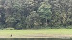 Situ Patenggang, Surga Tersembunyi di Ciwidey