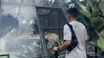 Jelajah Alam dan Satwa di Lembang Park and Zoo Memang Seru