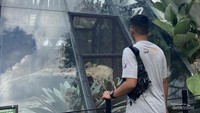 Melihat satwa di Lembang Park and Zoo.