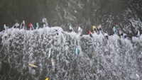Penyelenggara mengatakan total 98 orang berselancar di ombak pada saat yang sama, hanya kurang 13 orang dari rekor 110 orang yang dibuat di Afrika Selatan pada tahun 2009. Terlepas dari itu, penyelenggara tetap berharap bahwa ini adalah upaya terbesar oleh peselancar berusia lebih dari 50 tahun.  