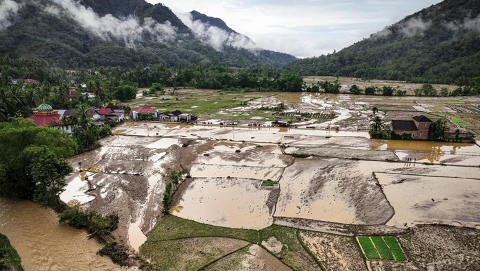 Foto udara sejumlah rumah warga yang rusak akibat banjir bandang di Nagari Silantai, Kabupaten Sijunjung, Sumatera Barat, Selasa (12/11/2024). Sejumlah desa atau nagari di daerah tersebut diterjang banjir bandang akibat curah hujan yang tinggi dan menyebakan meluapnya aliran Sungai Batang Sumpu dan Batang Ombilin pada Selasa (12/11) dini hari. ANTARA FOTO/Regi Darlis/Lmo/foc.