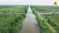 Saat ini seluruh jaringan irigasi di DIR Dadahup sudah siap baik jaringan primer, sekunder maupun tersier. Terdapat 21.226 ha lahan yang bisa dimanfaatkan dan sudah mulai dilakukan cetak sawah untuk penanamannya.  