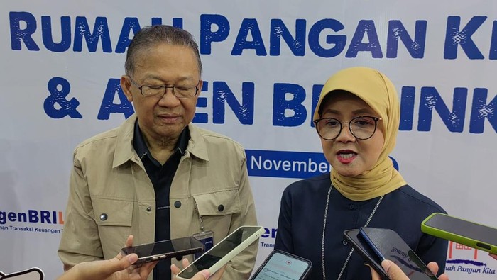 Direktur Bisnis Perum BULOG, Febby Novita.