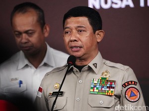 BNPB Ungkap Sejumlah Wilayah RI Rentan Bencana karena Alih Fungsi Lahan