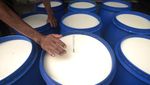 Industri Wajib Serap Susu Sapi Lokal!
