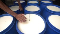 Kementerian Pertanian mewajibkan perusahaan atau industri pengolahan susu untuk menyerap susu segar dalam negeri dari peternak dan pengepul sebagai bahan baku industri. 