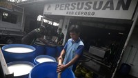Pekerja memindahkan susu sapi di Koperasi Unit Desa (KUD) Cepogo, Boyolali, Jawa Tengah, Selasa (12/11/2024).  
