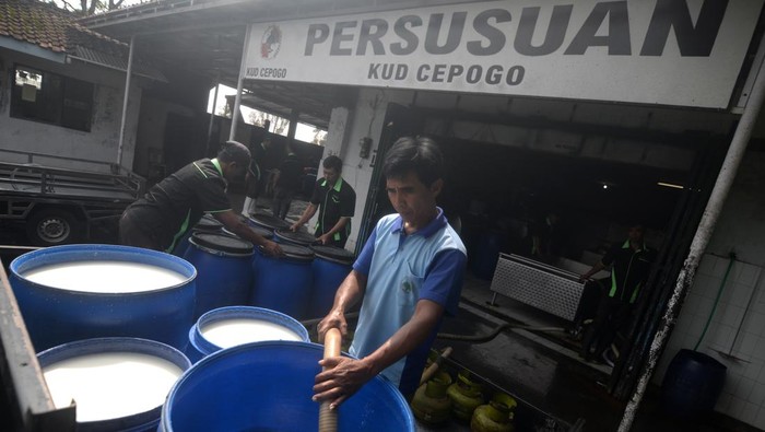 Pekerja mengaduk susu sapi di Koperasi Unit Desa (KUD) Cepogo, Boyolali, Jawa Tengah, Selasa (12/11/2024). Kementerian Pertanian mewajibkan perusahaan atau industri pengolahan susu untuk menyerap susu segar dalam negeri dari peternak dan pengepul sebagai bahan baku industri guna mencapai swasembada susu. ANTARA FOTO/Aloysius Jarot Nugroho/Spt.