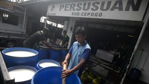 Industri Wajib Serap Susu Sapi Lokal!