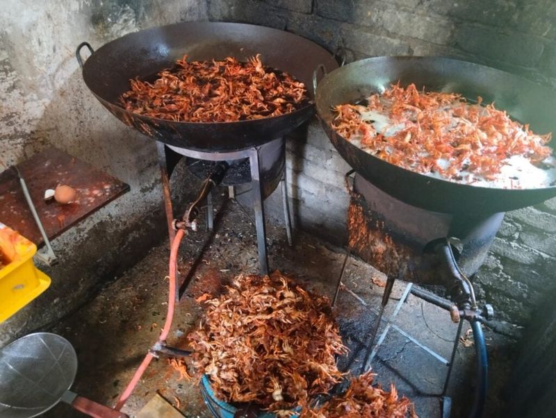 Jijik! Dapur Penjual 'Baby Crab' Ini Penuh Lalat