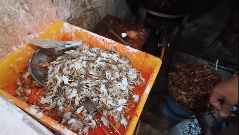 Jijik! Dapur Penjual 'Baby Crab' Ini Penuh Lalat