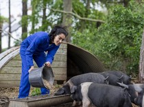 Agak Laen! Wanita Ini Makan Pakan Babi Setiap Hari