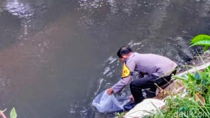Penebaran ikan di waduk Bondowoso