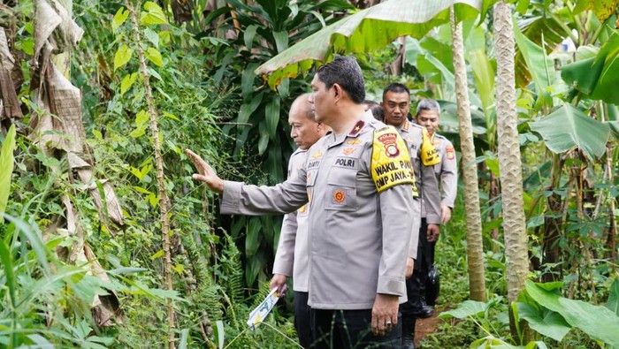Polda Metro Jaya menyediakan lahan tidur untuk mendukung program ketahanan pangan nasional. Lahan tidur dimanfaatkan untuk tanaman palawija hingga sayuran. (dok Istimewa)