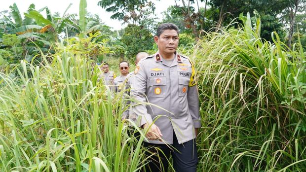 Polda Metro Jaya menyediakan lahan tidur untuk mendukung program ketahanan pangan nasional. Lahan tidur dimanfaatkan untuk tanaman palawija hingga sayuran. (dok Istimewa)