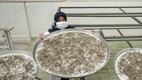 Penyebutan teh putih sendiri karena penampakannya yang keperakan mengkilat dari bulu-bulu yang menyelimutinya dan bentuknya runcing menyerupai jarum sehingga biasa dinamai “silver needle”.