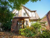 Rumah Donald Trump Mangkrak Diserbu Kucing Liar, Tetangga Ngamuk