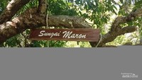 Sungai Maron.