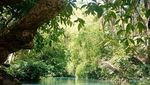 Keindahan Surealis Goa Gong dan Sungai Maron di Pacitan
