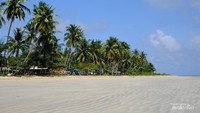 Pesona Landscape Pantai Tanjung Semedang