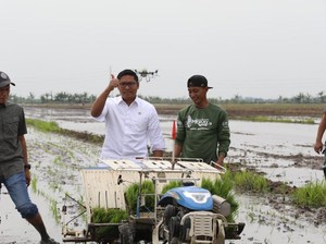 Kenaikan HPP Gabah Diklaim Bisa Bantu Petani Hindari Tengkulak